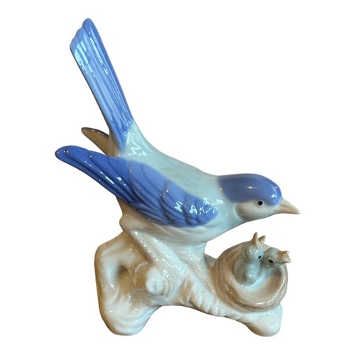 Bluebird with chicks nest - with, in