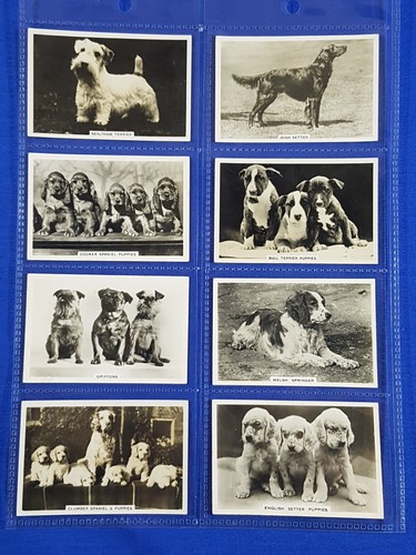 Senior service card - senior, album