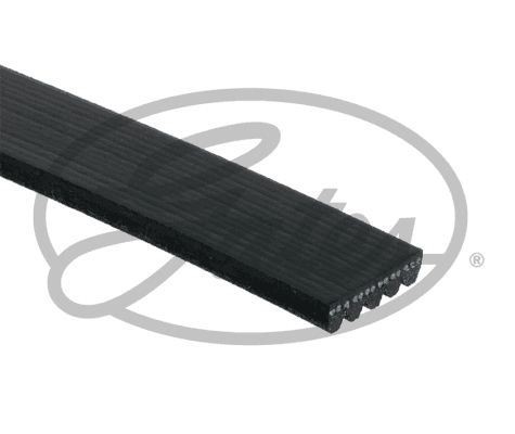 Gates micro multi - micro-v, multi-ribbed