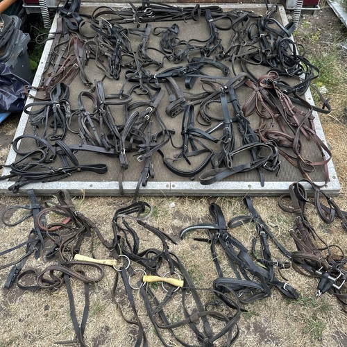 Job lot assorted bridles - job,