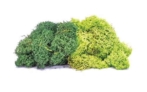 Hornby r7195 lichen large - r7195,