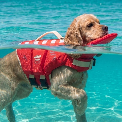 Adjustable float life jacket - adjustable,