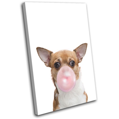 Modern dog chihuahua bubblegum - chihuahua,