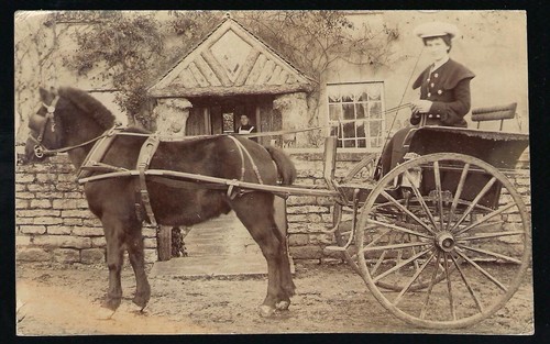 Wincanton posted lady horse - posted., lady,