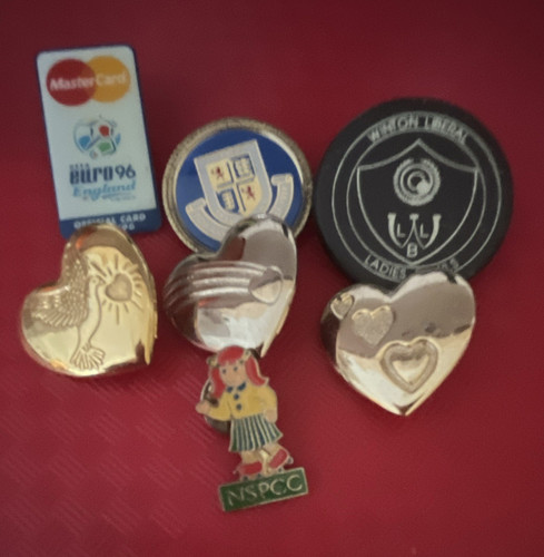 Mixed enamel charity pin - mixed,