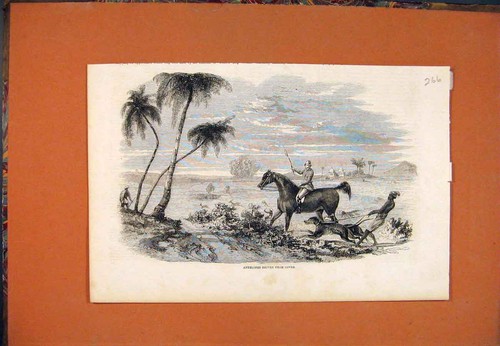Original old antique print - original,