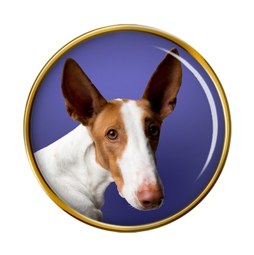 Ibizan hound dog lapel - dog,