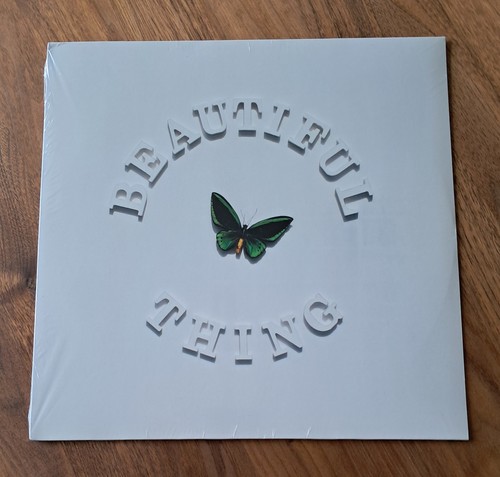 The stone roses - the, beautiful