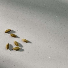 Silkstone White Shimmer Worktop Offcut | XL-0350 | 1775x580x20mm