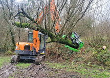 RSL Tree Shear 12" cut inc