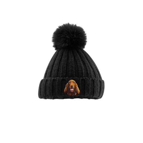 Irish setter pom - setter,