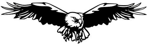 Large 23x7 hawk - hawk, camper