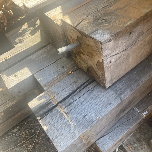 Huge oak timber lengths - oak,