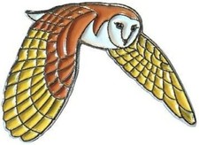 Barn Owl In Flight Metal