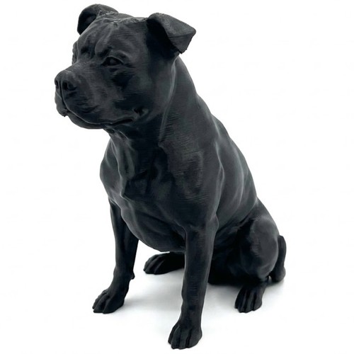 Staffordshire bullterrier dog - staffordshire,