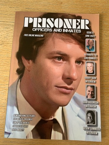Prisoner cell block magazine - block, h