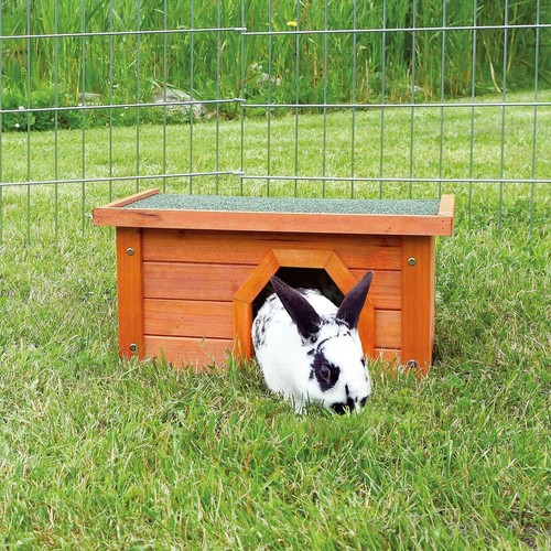 Small rabbit guinea hide - small,