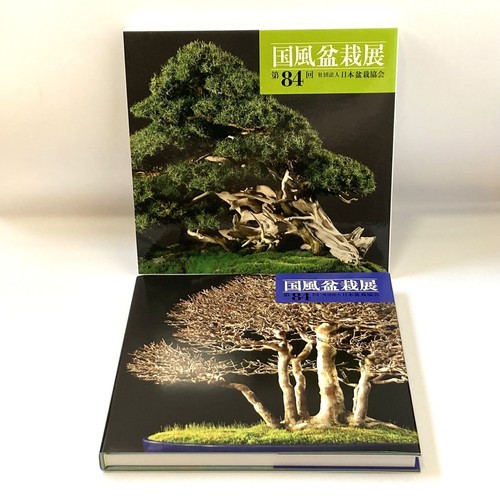 Kokufu bonsai exhibition - bonsai,