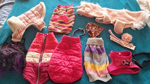 Joblot dog bundle - , coats