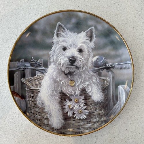 Westie dog decorative plate - westie,