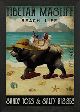 Tibetan Mastiff Dog Framed