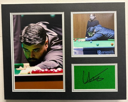Professional snooker player - professional,