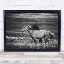 Love Horse Animals B&W