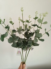 Frosted Eucalyptus Bundle 