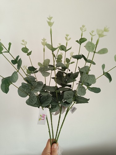 Frosted eucalyptus bundle - eucalyptus,