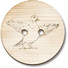 'Pigeon With Wings Spread'