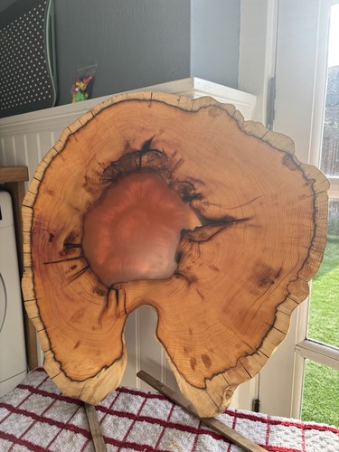Yew wood resin cookie - yew, ,