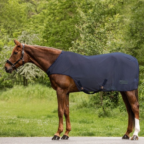 Waldhausen comfort fly horse - waldhausen, fly-horse