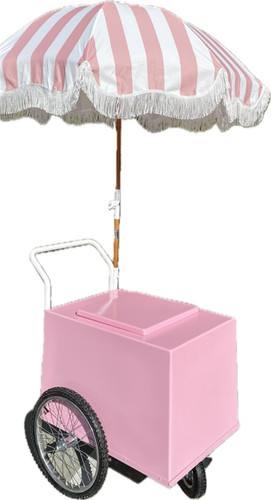 Paleta push cart pink frozen - push,