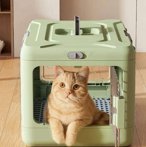 Collapsible cat dog - cat, pet