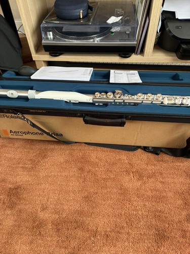 Roland brisa aerophone - roland, ae-brisa