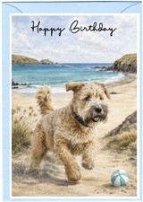 Soft Coated Wheaten Terrier