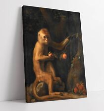 GEORGE STUBBS, A MONKEY
