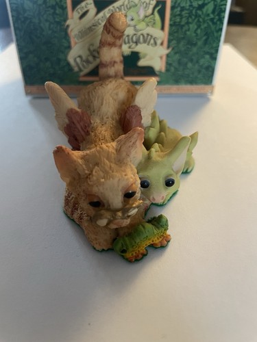 Pocket dragons nature lesson - dragons,