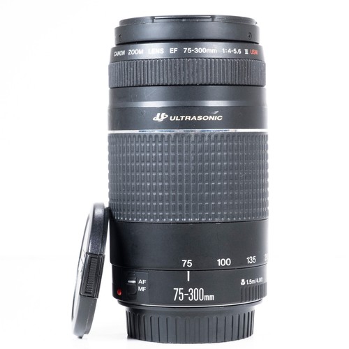 Canon 300mm 5 6 iii - 75-300mm, f/4.0-5.6