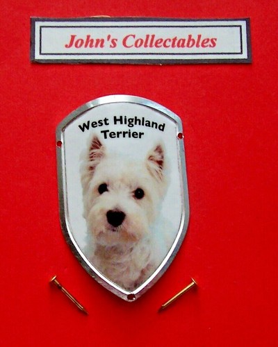 West highland terrier - west, (dog)