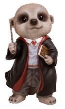 Wizard Harry Potter Baby