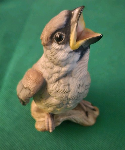 Boehm fledgling baby cedar - boehm,