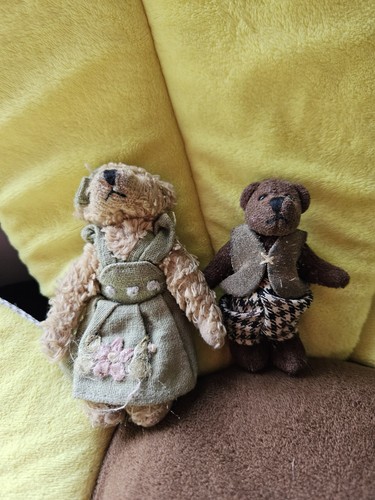 Two vintage tiny teddy - vintage,