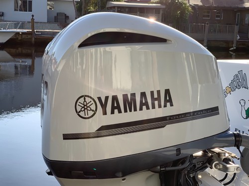 Black kit with - , fiber