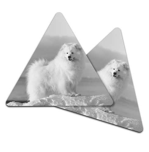 Triangle coaster bw - triangle,