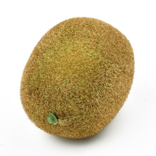 Variety artifical fruit - variety,