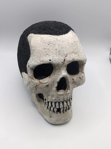 Aquarium ornaments skulls aqua - ornaments,