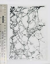 Clear rubber stamp Crackle