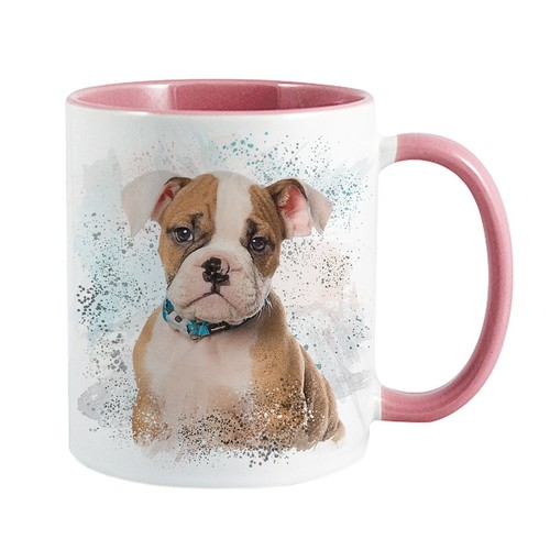 English bulldog pup - bulldog,