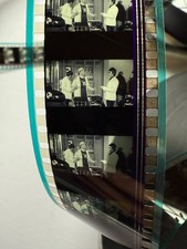 Oasis Film Cells Full 20